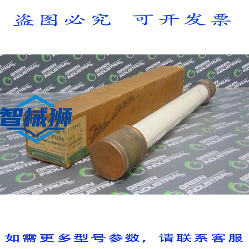 原装供应 9F60DMH905 限流保险丝 EJ0-1 型 0.5E 安培