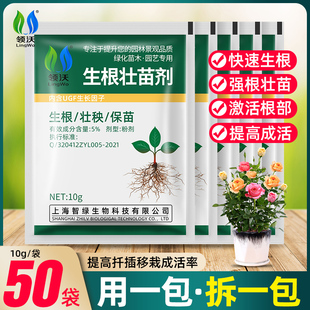 速发快树生根粉植物通用生根扦插移栽多肉家用盆栽速木苗根生根壮