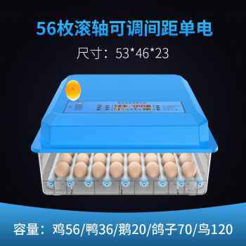厂销厂销孵化器全自动小型孵化机家用孵化箱孵蛋器孵蛋机V孵小品