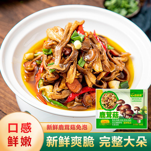 蔚鲜来新鲜鹿茸菇脆脆菇鲜货菌菇炒菜煲汤脆嫩m