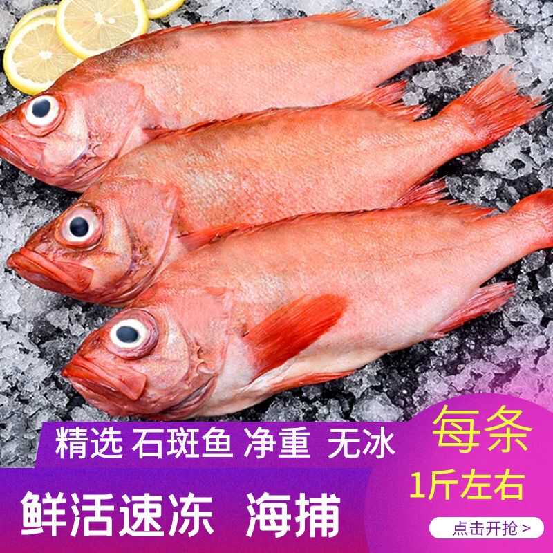 海鲜水产整条鲜活红石斑鱼