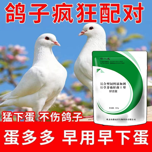 鸽子专用下蛋宝提高受精率促产蛋