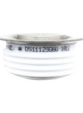 全新原装进口整流二极管DNB65 DS2107SY DS2009SF DS1109SG现货