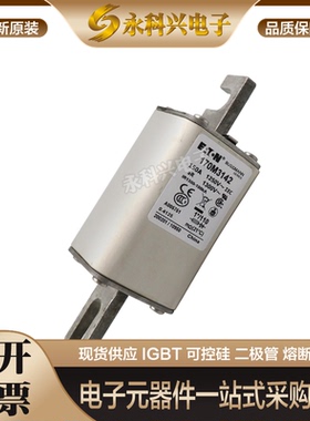 适用快速熔断器保险丝170M3363/3364/3365/3366/3367/3368/3369