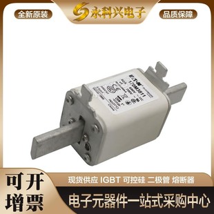 3215 3219 3216 3218 3220现货 3217 全新快速熔断器保险170M3214