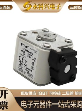 全新快速熔断器保险170M4219/5208/5209/5210/5211/5212/5213现货