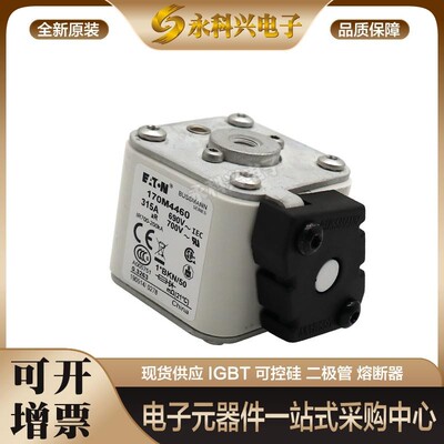 熔断器保险170M4219/5208/5209