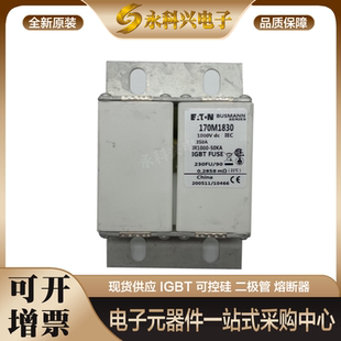 2616 2615 2617 2618 2620 全新原装 2619 保险丝熔断器170M2614