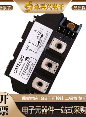 西班牙可控硅模块CTT100GK12/14/16/18/20/22 CTT116GK0812/14/16