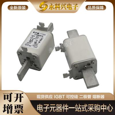 巴斯曼熔断器170M3723/4708/4709