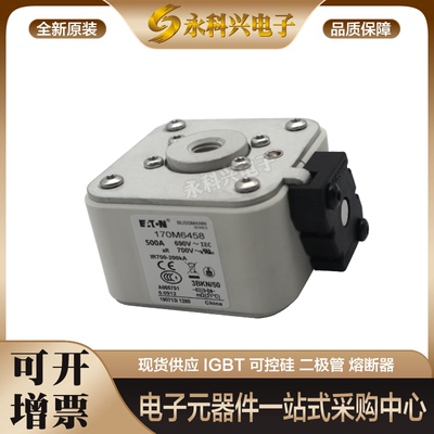 巴斯曼熔断器170M6712/6713/6714