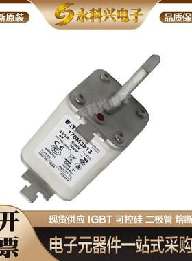 全新进口巴斯曼熔断器170M3617/3618/3619/3620/3621/3622/3623