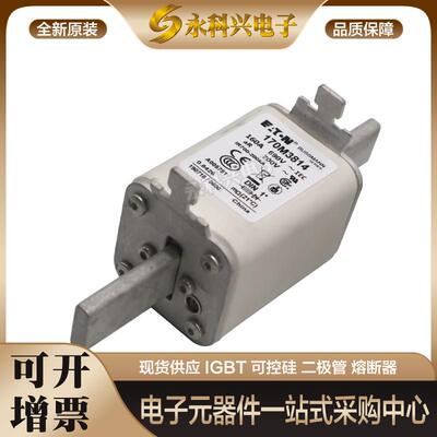 巴斯曼熔断器170M3988/3989/3990