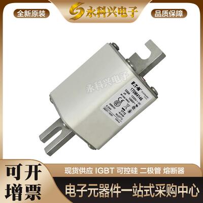 巴斯曼熔断器170M4661/4662/4663