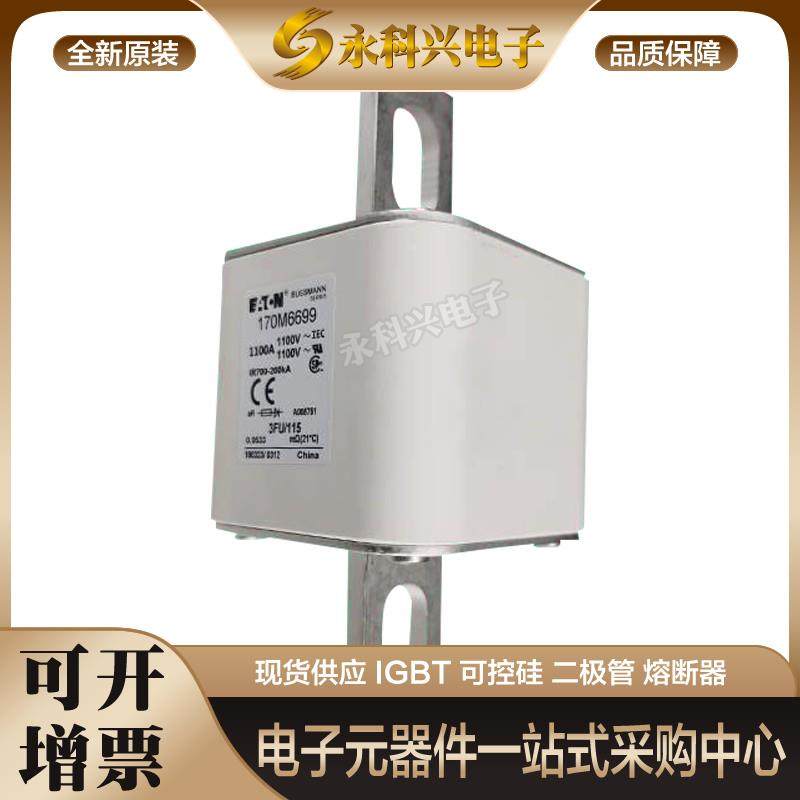全新现货巴斯曼熔断器170M6620/6621/3658/3659/3660/3661/3662 - 实物图