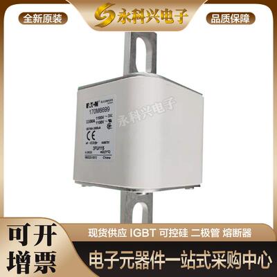 巴斯曼熔断器170M6620/6621/3658