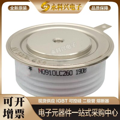 可控硅平板型N0606YS200/250N06