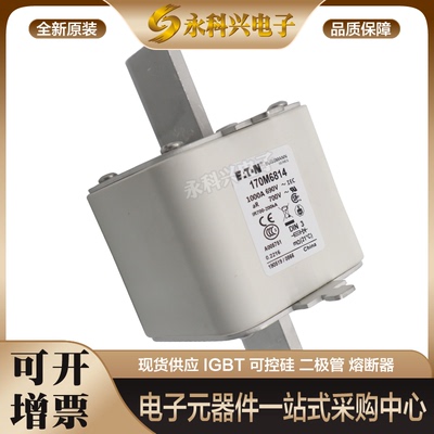 巴斯曼熔断器170M8650/6301/6302