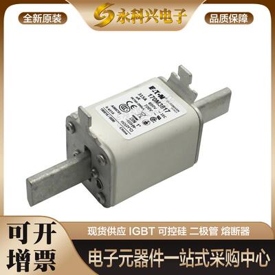 巴斯曼熔断器170M4189/4190/4191