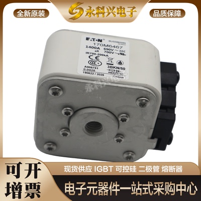 巴斯曼熔断器170M6589/6590/6591