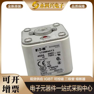 巴斯曼熔断器170M4953/4954/4955