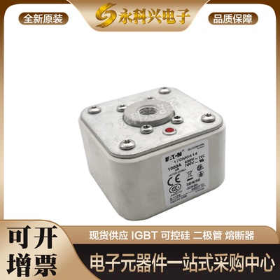 巴斯曼熔断器170M6719/6720/6721