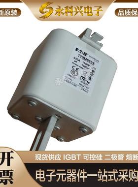 巴斯曼熔断器170M3073/4058/4059/4060/4061/4062现货全新进口