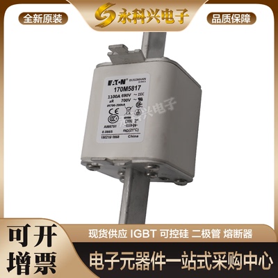 巴斯曼熔断器170M6019/6020/6021