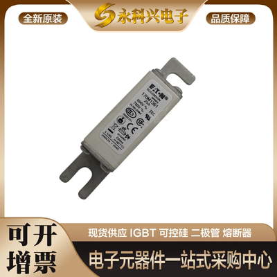 Bussmann熔断器保险丝170