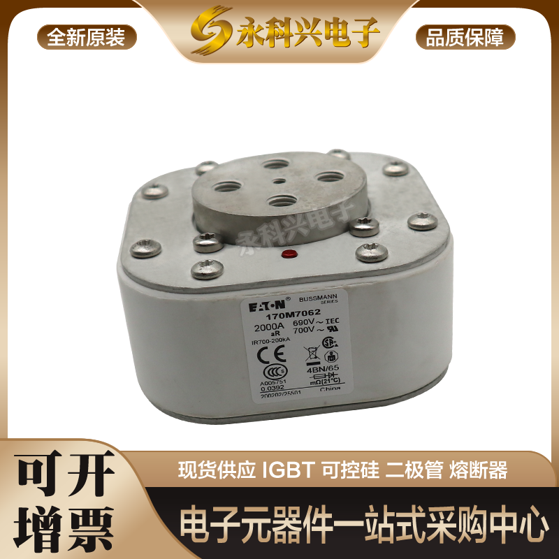 巴斯曼熔断器170M5762/5763/5764