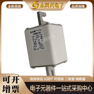 全新进口巴斯曼熔断器170M4168/4169/5158/5159/5160/5161/5162