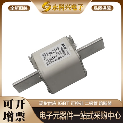 巴斯曼熔断器170M5973/5974/5975