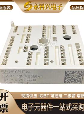 全新西门康SKIIP13NAB066V1/065V1/SKIIP14NAB066V1/065V1原装现