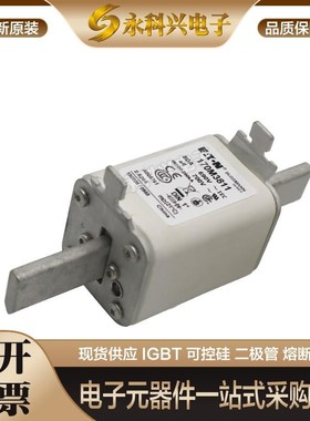 美国巴斯曼快速熔断器170M3519/3520/3521/3522/3523/4508/4509