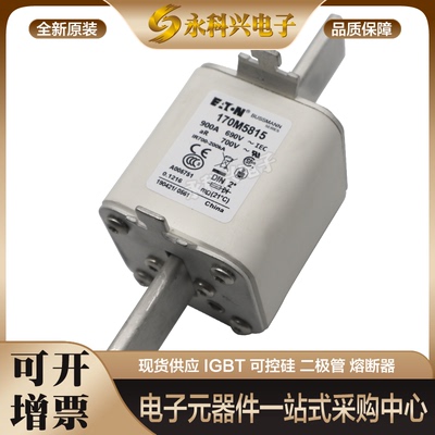 熔断器保险170M4960/5952/5953