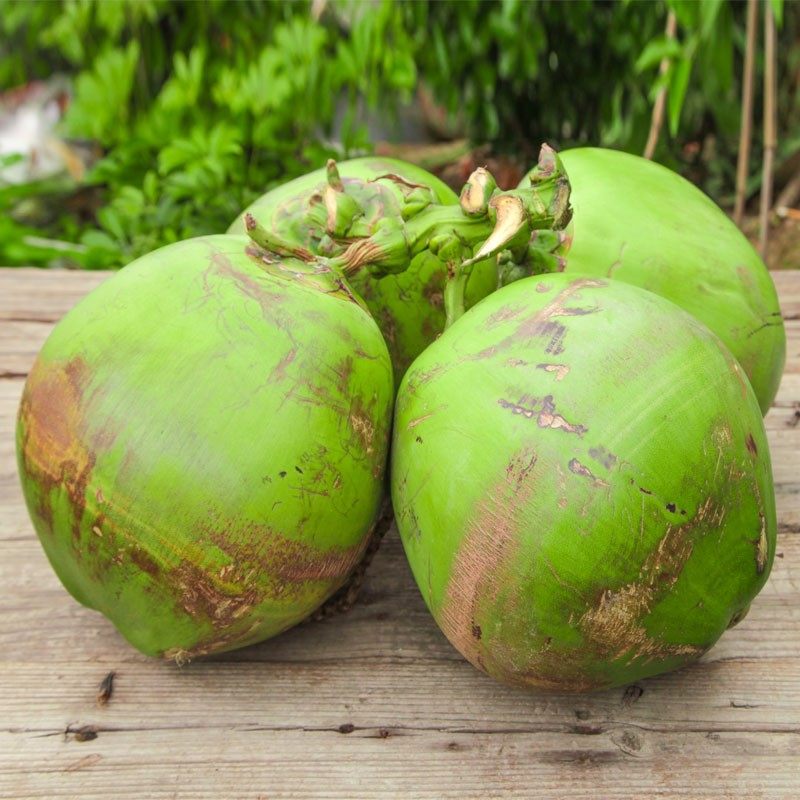 海南新鲜椰子老嫩椰热带整箱椰汁椰皇孕妇水果补羊水带皮大个椰青