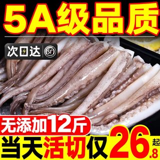 鱿鱼须冷冻大章鱼足须烧烤食材铁板鱿鱼腿二本足须须商用海鲜水产