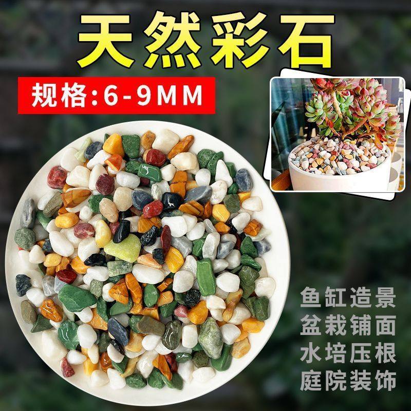 天然五彩石雨花石鱼缸造铺底盆栽水培多肉植物铺面装饰小石头,鲜花速递/花卉仿真/绿植园艺,其它园艺用品,淘宝优惠券,粉丝福利购,淘宝优惠卷