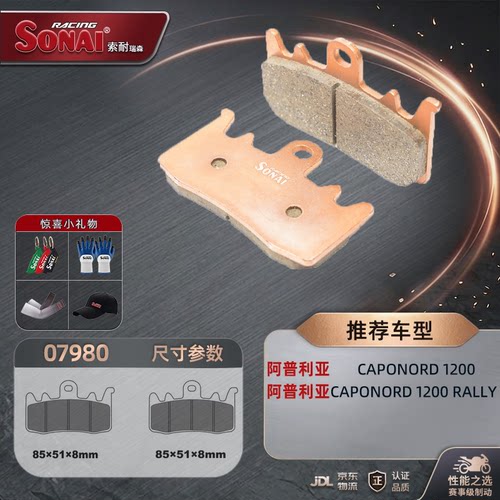 索耐阿普利亚Caponord1200RALLY