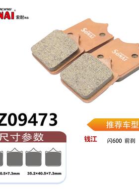 SONAI索耐瑞森刹车片 适用 钱江闪600/闪700