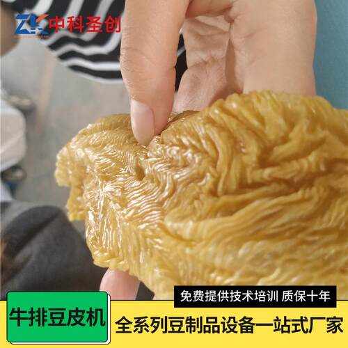 厂家供应新型豆皮机电加热全自动多功能素牛排豆皮机人造肉机器