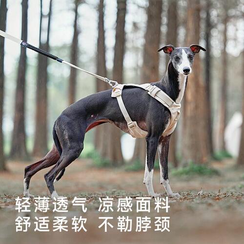ZOOLAND狗狗胸背牵引绳工字遛狗小中大型犬防爆冲挣脱宠物牵狗绳