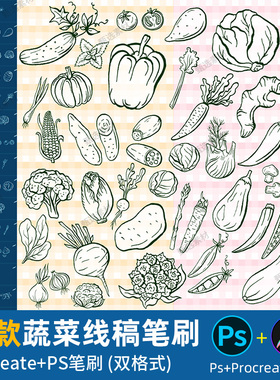 ps笔刷procreate笔刷绿色蔬菜蔬果食物健康食材绘画辅助线稿手绘