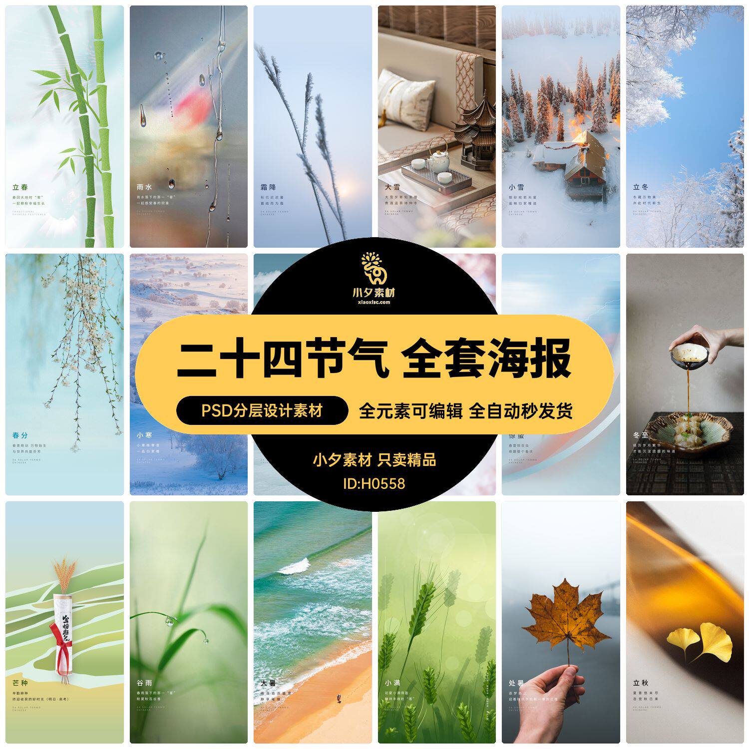 中国传统节日二十四24节气全套系列插画手机壁纸海报psd设计素材