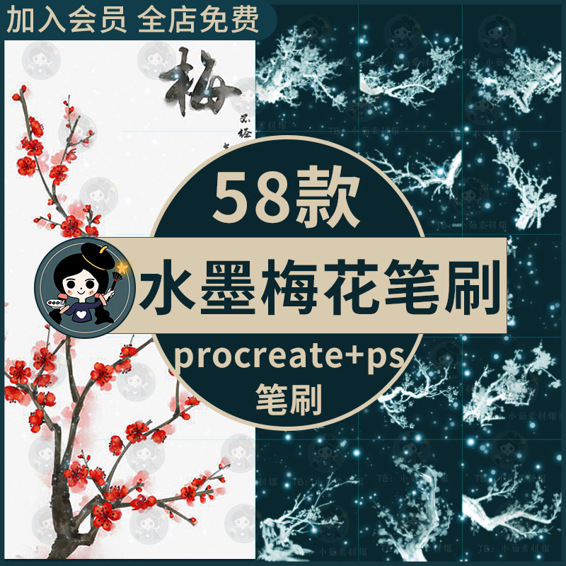 中国风水墨梅花腊梅花枝传统古风国画图案插画procreate ps笔刷