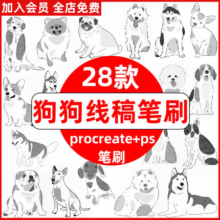 狗狗procreate笔刷ps笔刷世界名犬柯基金毛可爱手绘动物辅助线稿