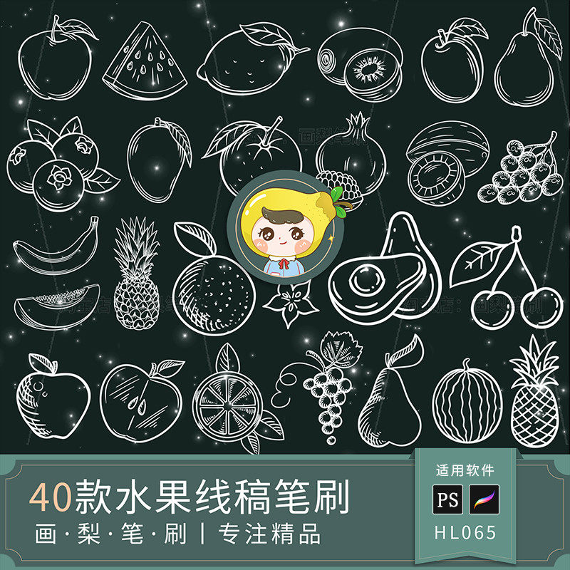 线描水果果蔬健康美食图案线稿手绘辅助线稿procreate笔刷ps笔刷