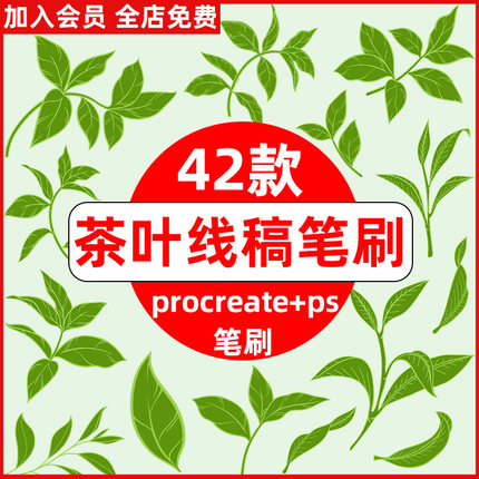 茶叶线稿procreate笔刷ps笔刷茶叶手绘插画线条清新草本植物枝叶