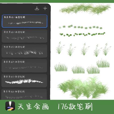 天生会画笔刷笔刷手绘日系花草丛林草丛森林叶子笔刷天生绘画华为