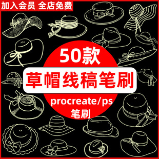 太阳帽草帽遮阳帽帽子手绘线稿辅助线procreate笔刷ps笔刷素材